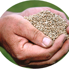 Fertilizer Weed Control & Fertilization