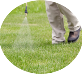 Spot application weed control & Fertilization