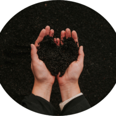 Rich Soil